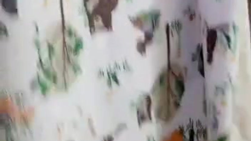 MEI TAI EVOLUTIVO